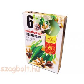 Illatmécses eukaliptusz 6 db-os