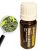 Litsea Cubbeba 100% tisztaságú illóolaj, 10 ml (Gladoil-Fleurita) Raktáron: 6 db