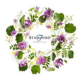 Stamford kúp füstölő